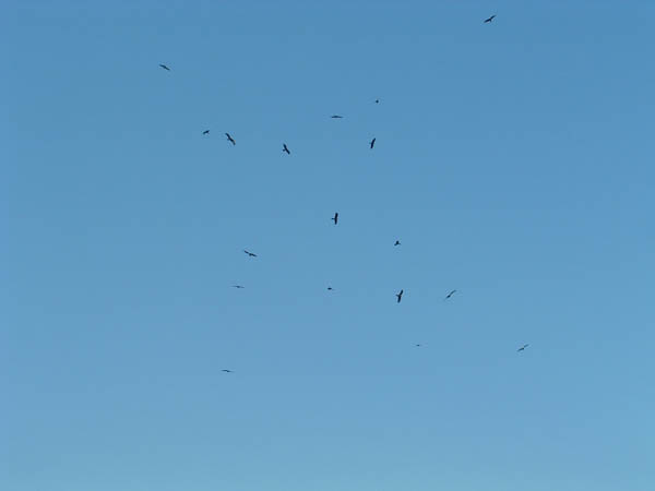 DSCF0012