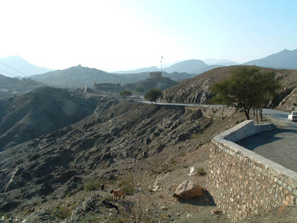 DSCF0075