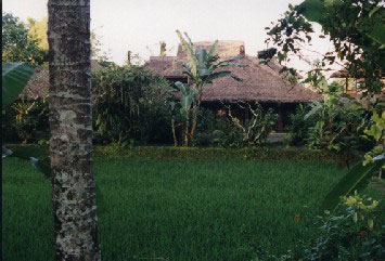 Ananda Cottages cottage - 30828 Bytes
