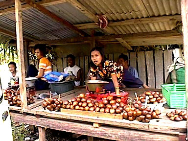 Salak stand - 53110 Bytes