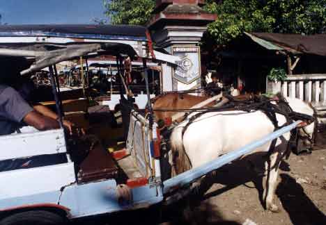 Each area of Indonesia has its own indigenous horse cart. In Yogya we have the four-wheeled andong. In Lombok there is the two-wheeled cidomo. - jpg - 18938 Bytes